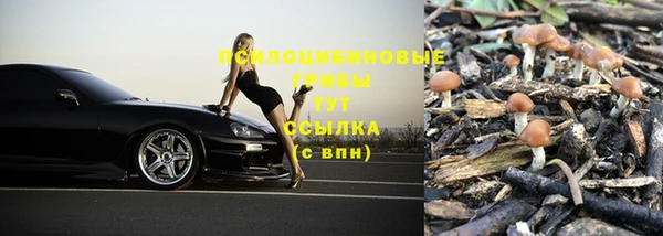 мескалин Вяземский