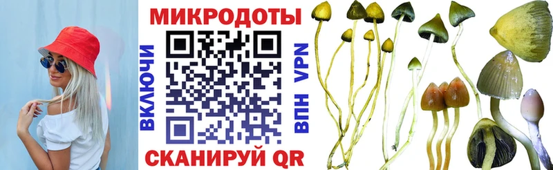 Псилоцибиновые грибы Cubensis  Павлово 